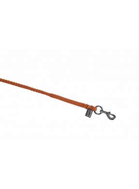 Longe 2m – Eskadron Platinium 2026