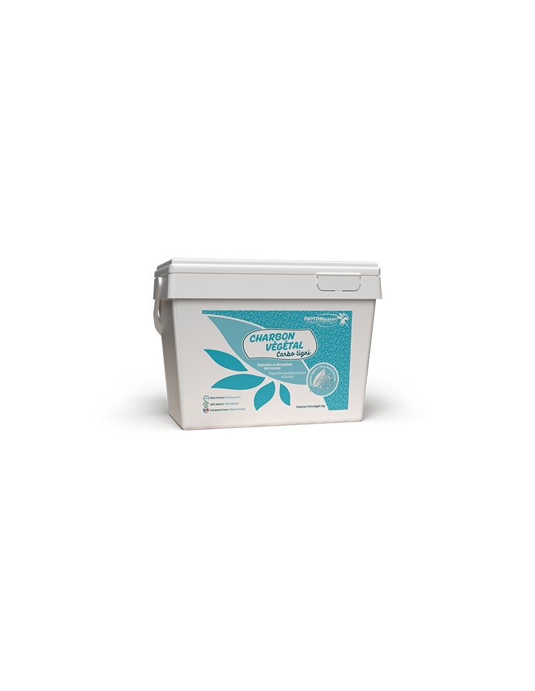 Poudre PHYTO MASTER "CHARBON VEGETAL"