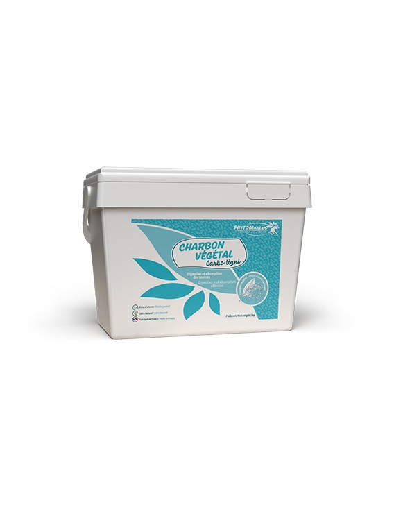 Poudre PHYTO MASTER "CHARBON VEGETAL"