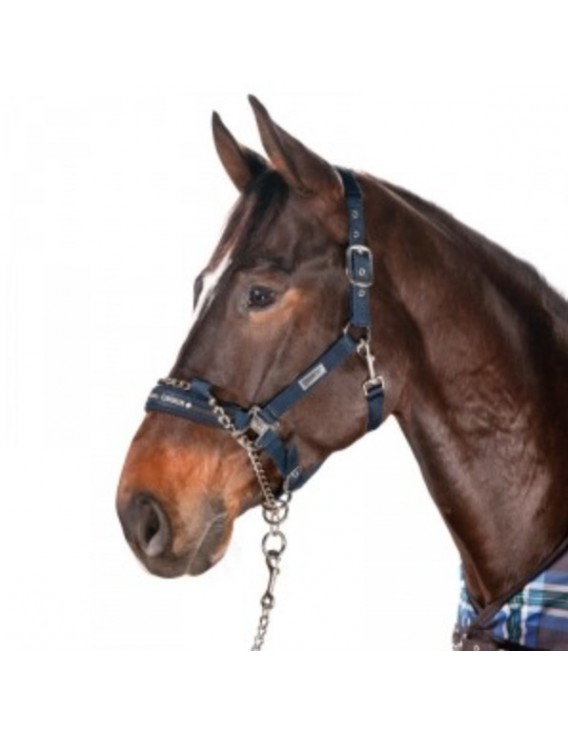 Crin De Cheval Pour Cheval, 28 Pouces, Avec Gland - Marque JT Silversmiths