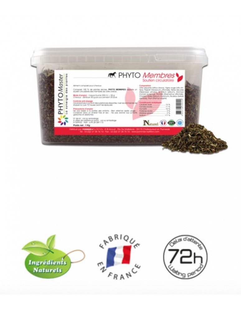 PHYTO MASTER "Derm"