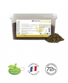 PHYTO MASTER "Derm"