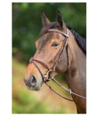 Bridon cuir HFI "Elegant"