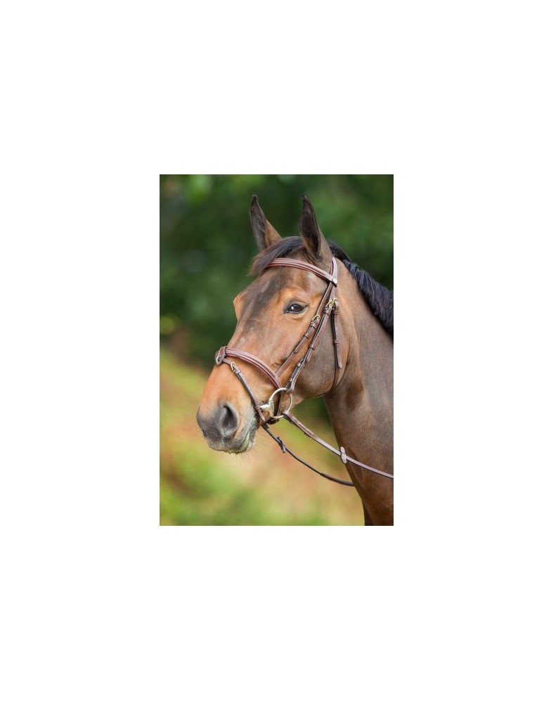Bridon cuir HFI "Elegant"