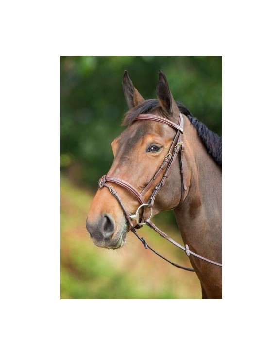 Bridon cuir HFI "Elegant"