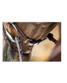 Bridon cuir HFI "Elegant"