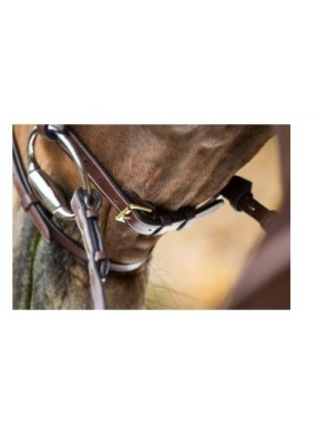 Bridon cuir HFI "Elegant"