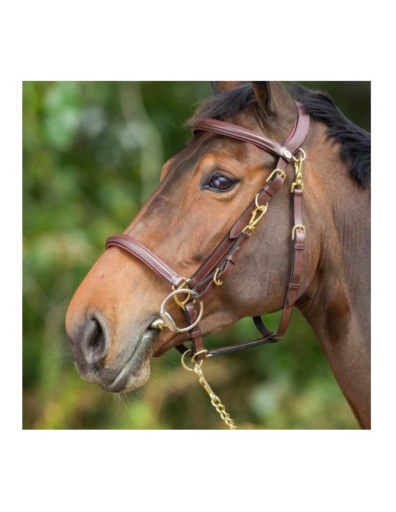 Bridon cuir HFI "Elegant"