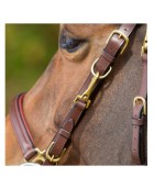 Bridon cuir HFI "Elegant"