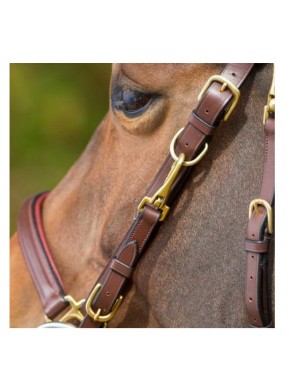 Bridon cuir HFI "Elegant"