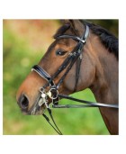 Bride de dressage convertible cuir HFI "Weymouth"