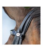 Bride de dressage convertible cuir HFI "Weymouth"