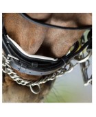Bride de dressage convertible cuir HFI "Weymouth"