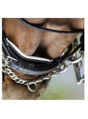 Bride de dressage convertible cuir HFI "Weymouth"