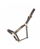 Licol cuir TDET "Plaque"