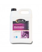 Equisport électrolytes HORSE MASTER