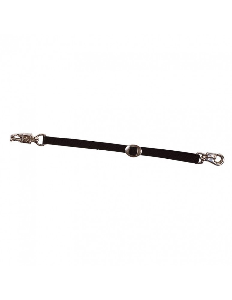 Longe d'attache pour transport