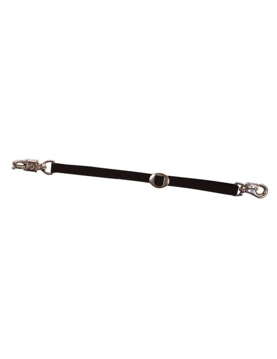 Longe d'attache pour transport