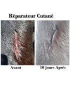 Spray réparateur cutané EKIN