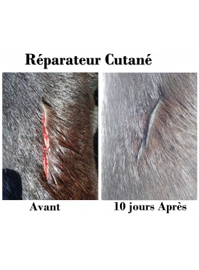 Spray réparateur cutané EKIN