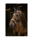Side Pull NORTON PRO "Tresse"