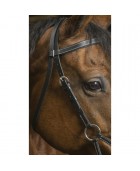 Side Pull NORTON PRO "Tresse"