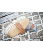 Brosse PENELOPE "Poils doux petit modèle"